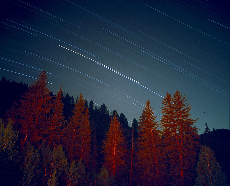 Erdő éjszaka - a kép illusztráció (forrás: pixabay) Erdő éjszaka - a kép illusztráció (forrás: pixabay)