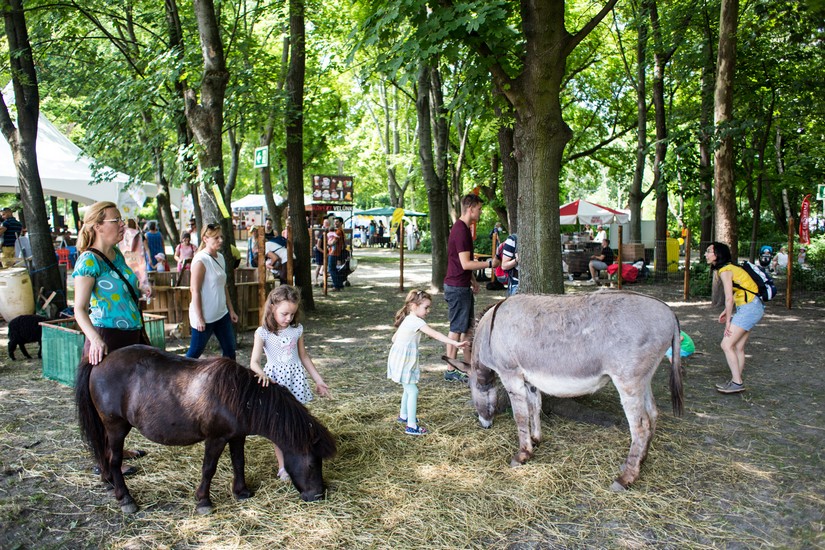A környezettudatosságot népszerűsítő játékokkal érkezett a Gyerek Szigetre az ITM A környezettudatosságot népszerűsítő játékokkal érkezett a Gyerek Szigetre az ITM