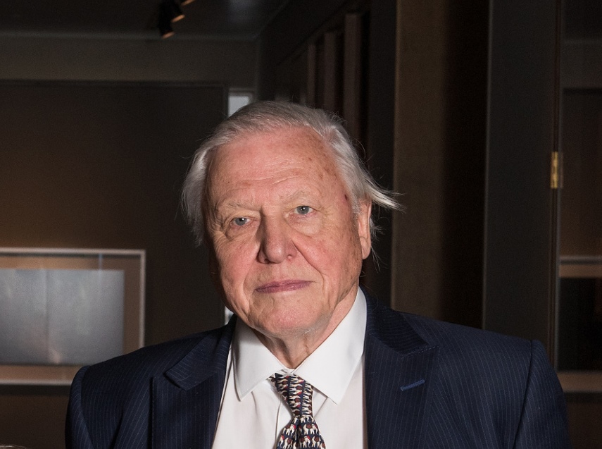 David Attenborough (forrás: wikipedia) David Attenborough (forrás: wikipedia)