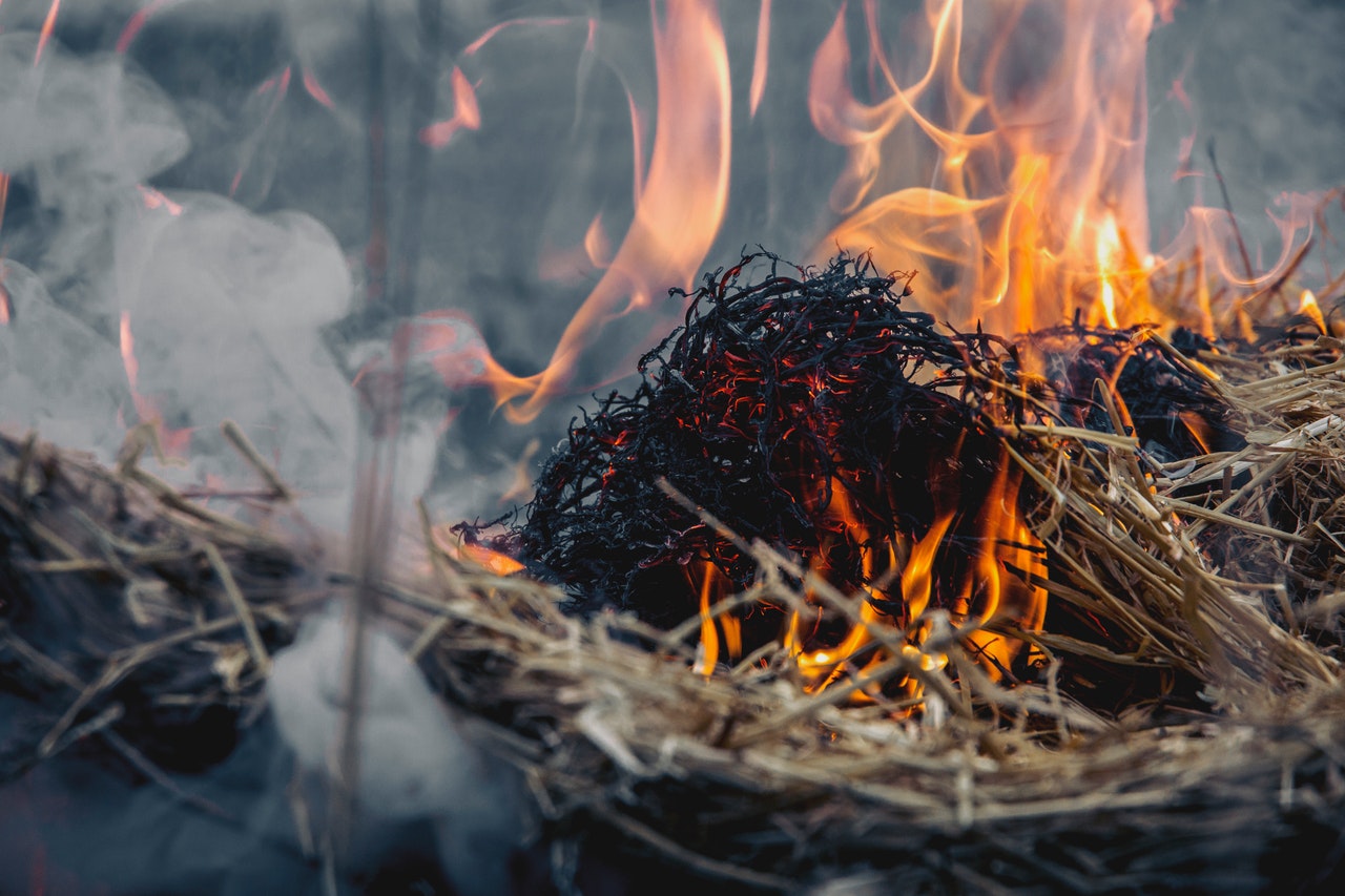 ash burn burning 691953
